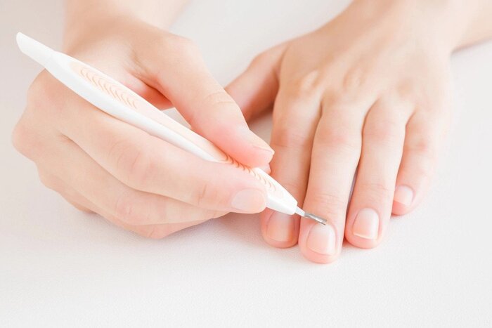 What are cuticles?